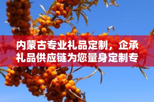 内蒙古专业礼品定制，企承礼品供应链为您量身定制专属礼品